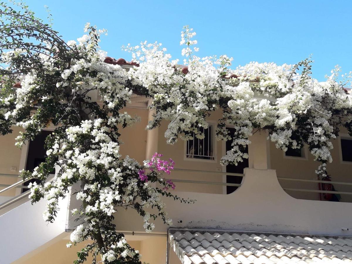 Makis Apartments Arillas  Exterior photo